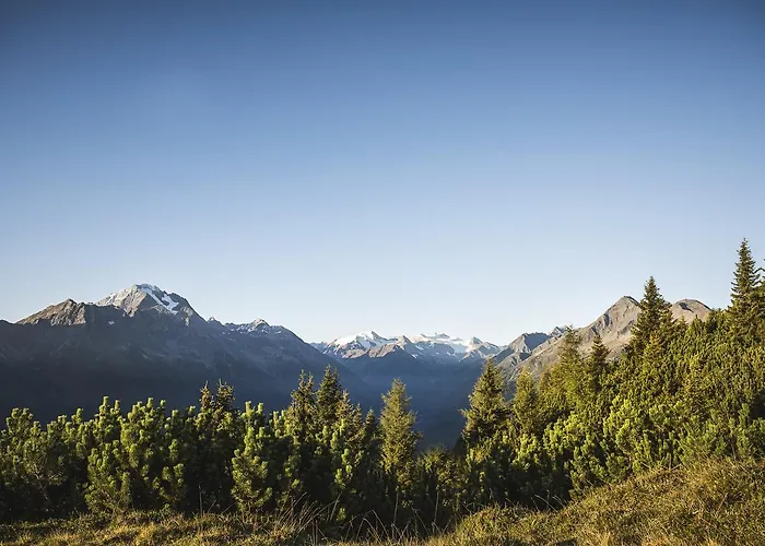 酒店 Sportalm 施图拜河谷新施蒂夫特